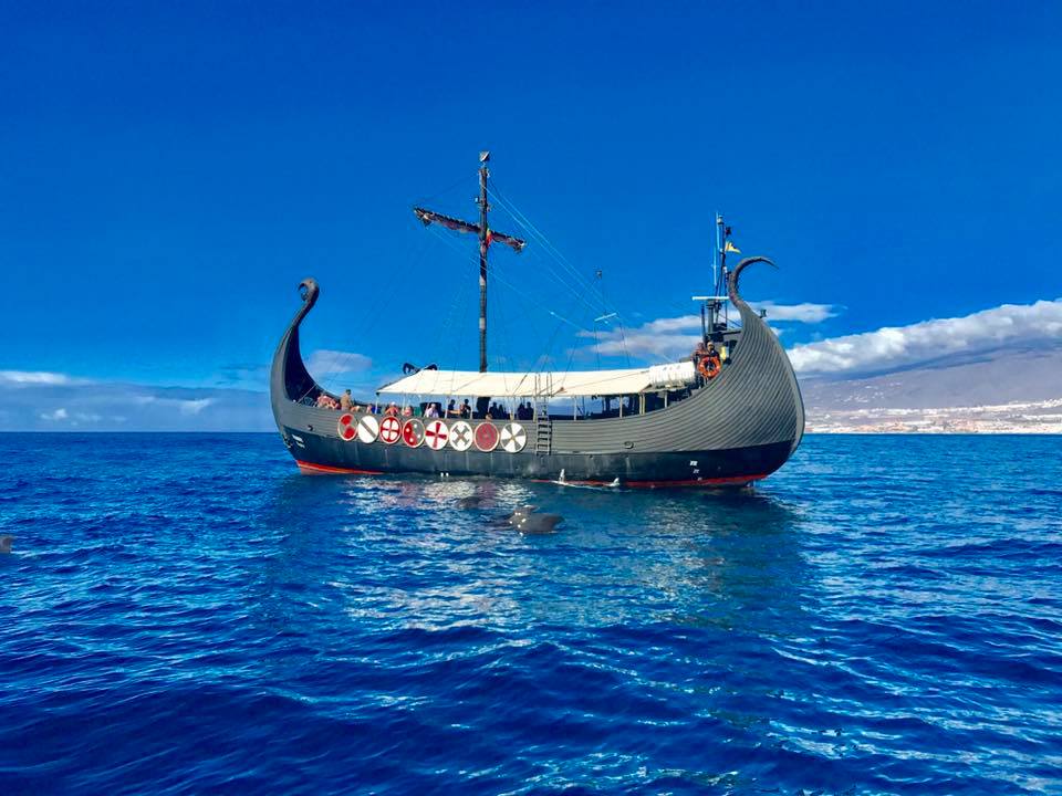 Our Viking ship on the sea