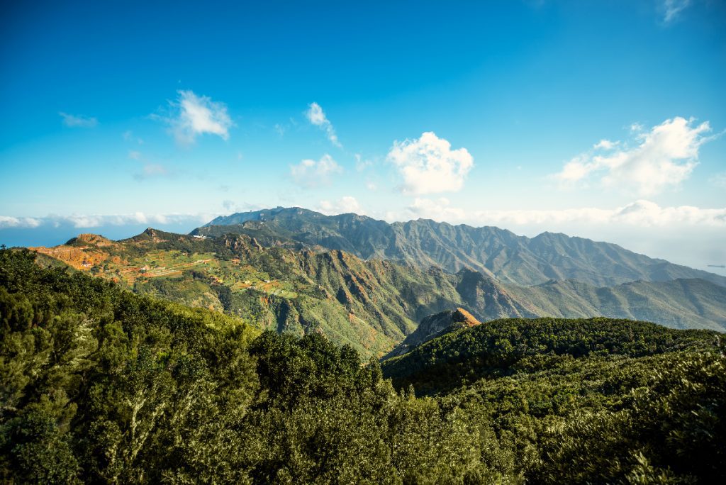 Natural park Anaga in Tenerife